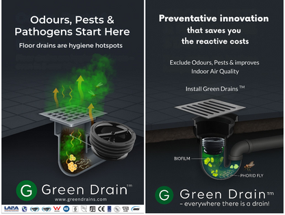 Green Drain Waterless Trap Seal